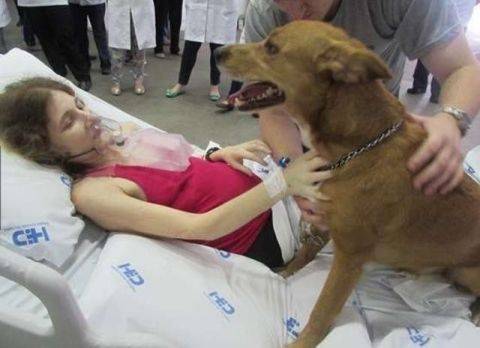 狗狗和病危主人的最后一面 女孩弥留之际 狗狗这个动作让人难过 女子 朋友 低下头