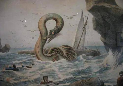 未知生物探索-大海蛇之谜,目击纪录已经有几千年的历史_鳗鱼_蛇颈