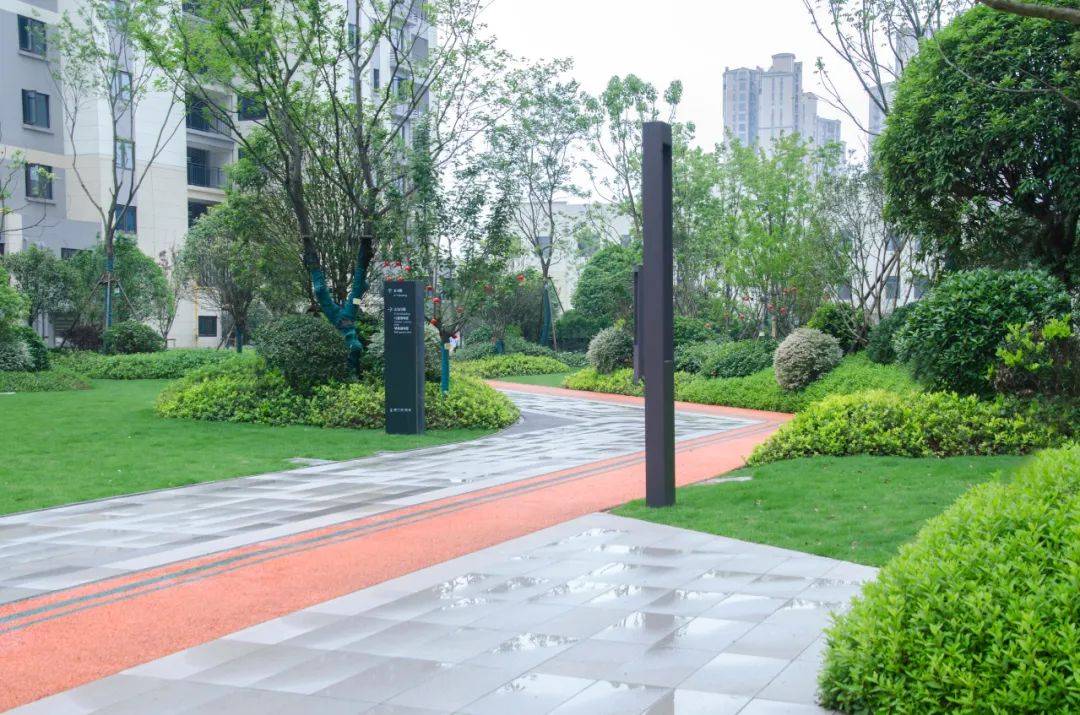 卓越青竹湖柔光凉夏月青竹满林风