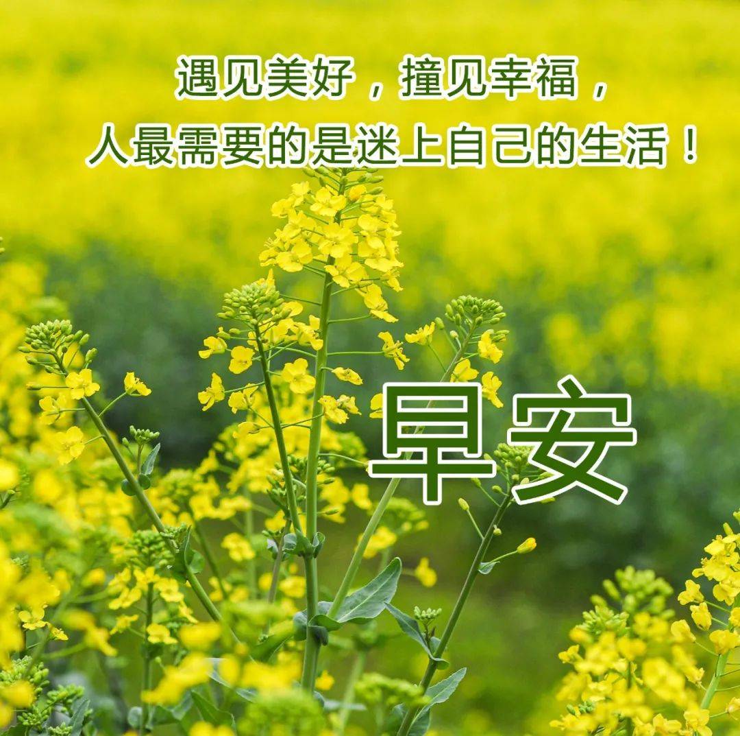 精美祝福图片,美好祝福词句,值得朋友圈发的美好祝愿_生活_束清晨_许