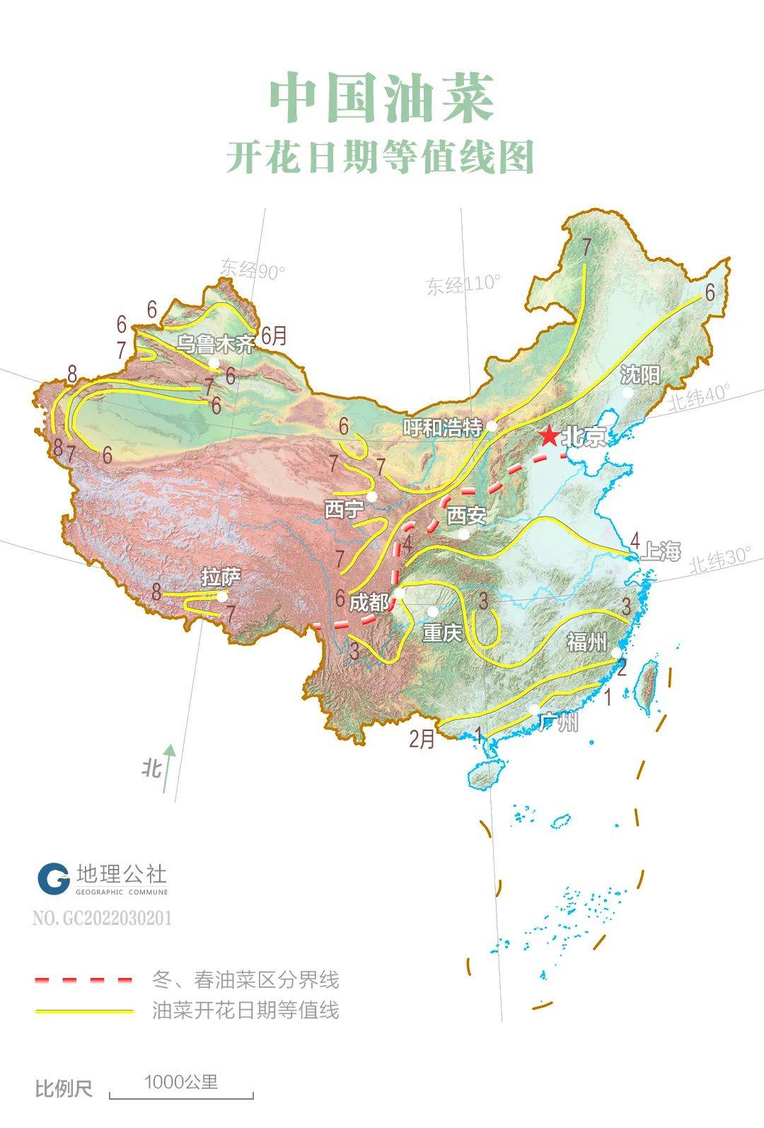 一朵花,带你走遍中国!_油菜花_摄影_纬度