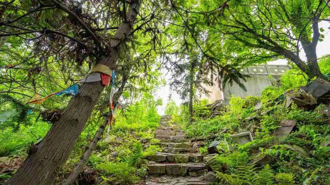 在自然的怀抱中尽情挥洒汗水苏州七子山登山步道5月26日开放