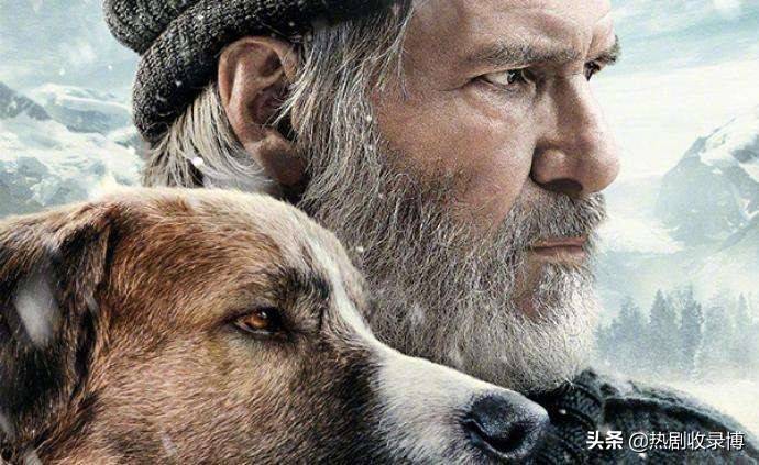 从小狗逆袭当狼王!