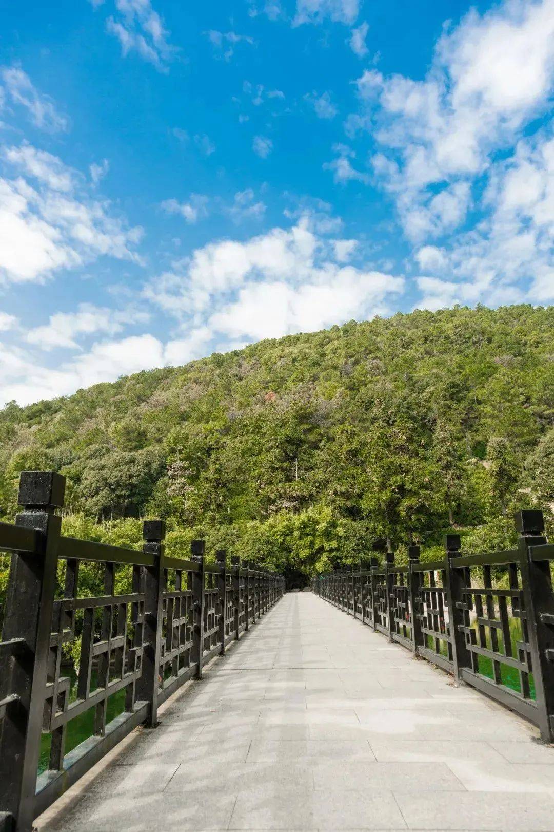 在自然的怀抱中尽情挥洒汗水苏州七子山登山步道5月26日开放