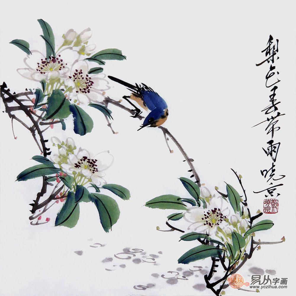 平淡幽远高雅清新郑晓京先生花鸟画作品欣赏