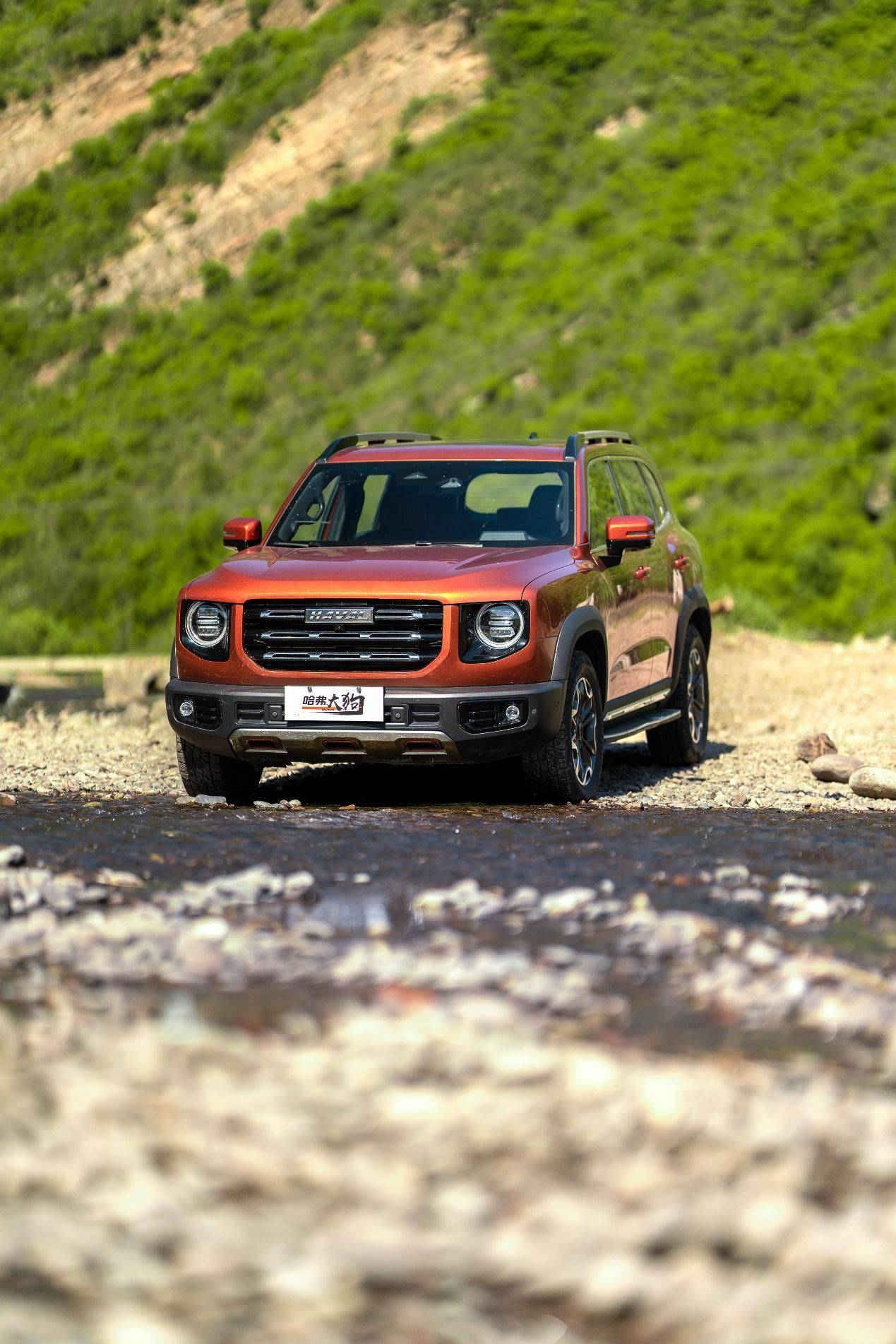 惊艳绝色山水间哈弗大狗