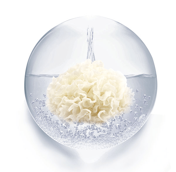 银耳多糖具有较好的保湿能力100万以上的植物来源的保湿剂化妆品原料