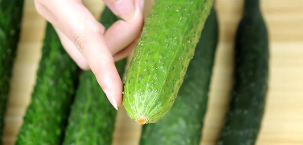 所以刚采摘下来的黄瓜瓜蒂会比较新鲜