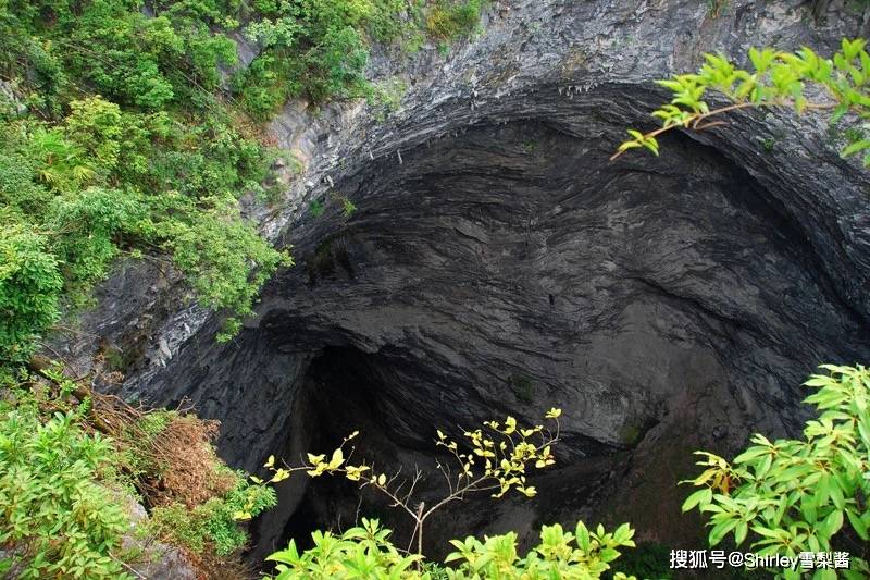 藏在广东的“大地之眼”，深度近100米，底部树木疯长蛇虫绕行