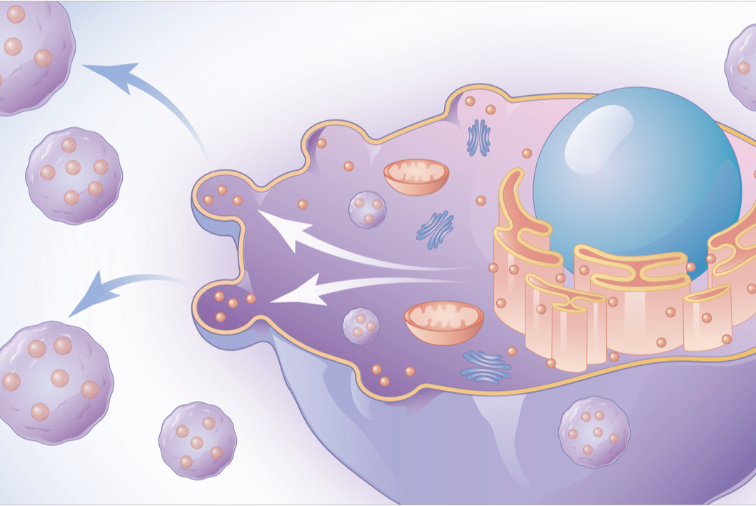 好文配好图好图胜千言一款免费极好的科研绘图工具分享