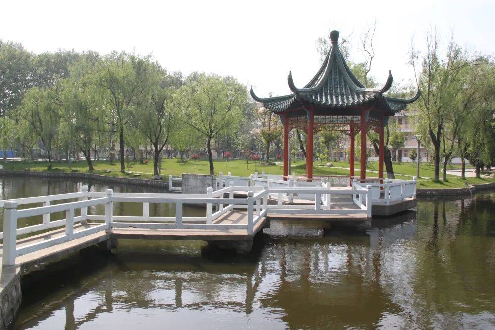 盐城市龙冈中学2022年招生简章