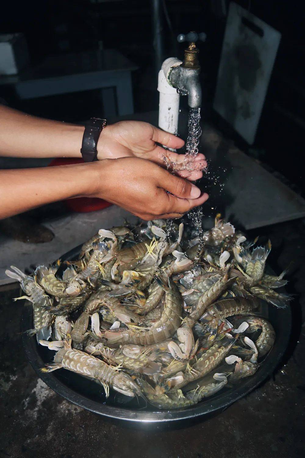 皮蝦的鮮香味,躍動於每年的一春一秋;無需繁複烹飪,調料愛有不有,北方