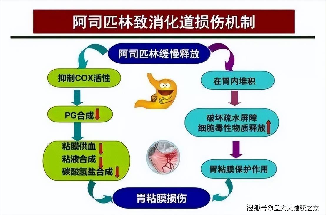 一部分人如果长期服用阿司匹林的话,可能会导致胃黏膜受到损伤,最容易