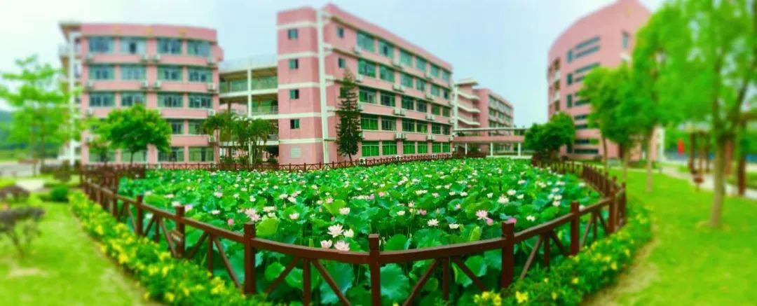 广州市南沙第一中学2022年高一招生简答_办学_我校_课程