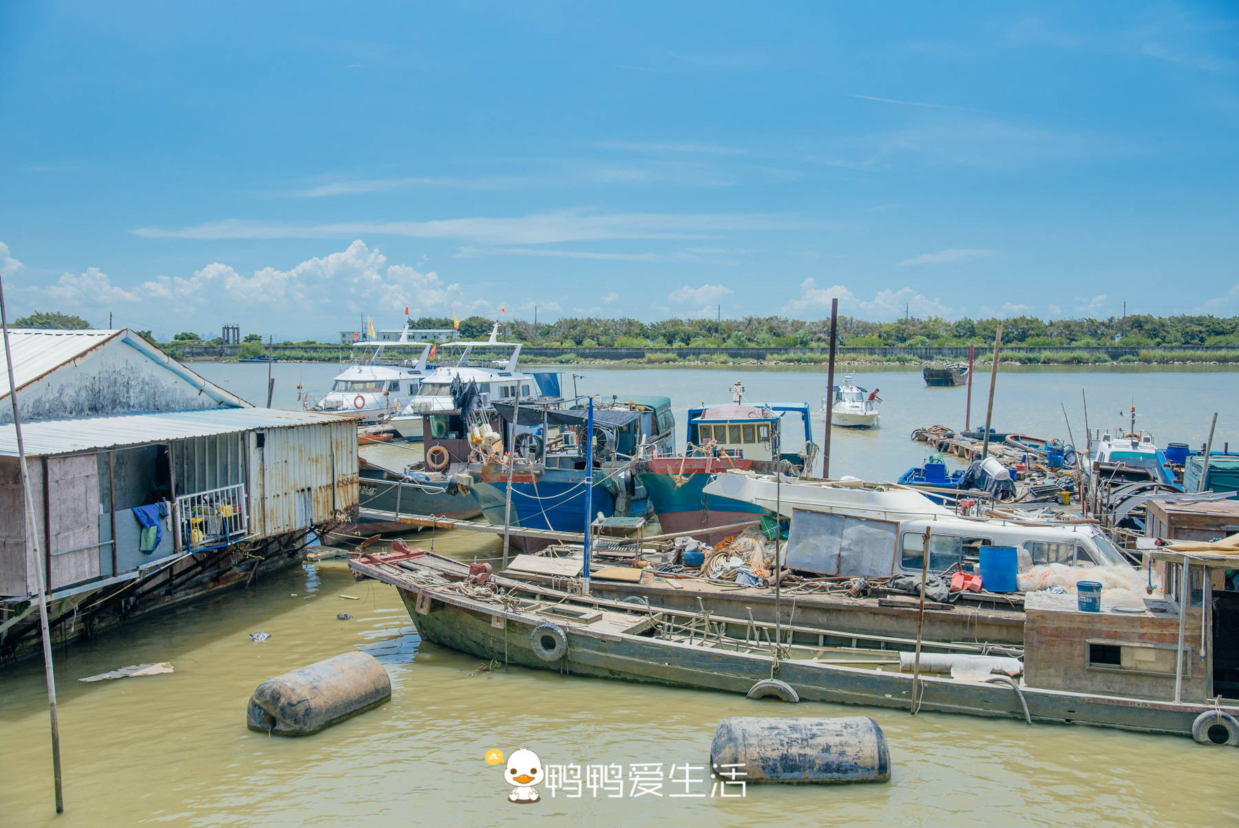 广州南沙除了有无边大海，还有城区最大免费森林公园，名字拗口