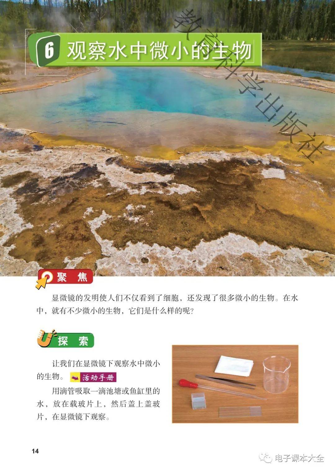 教科版六年级上册科学电子课本教材(高清pdf版)