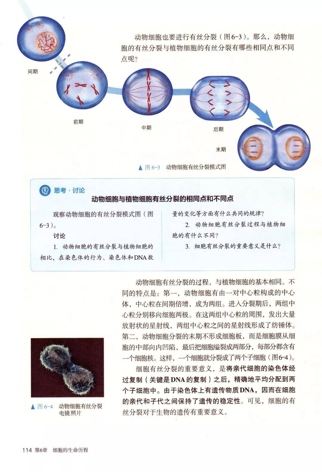 人教版高中生物必修一《分子与细胞》电子课本(新教材pdf版)