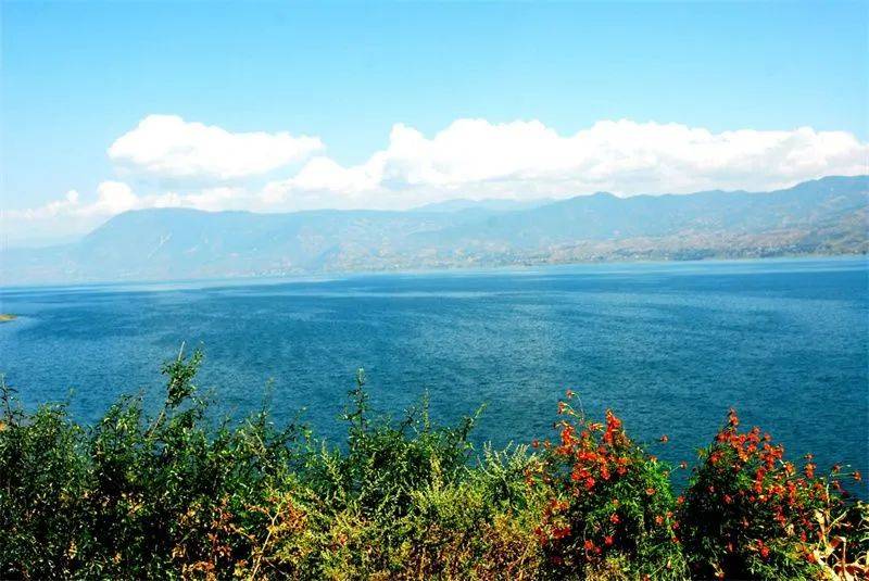 夏日出游到丽江程海感受清风拂面阳光璀璨湖水涟漪