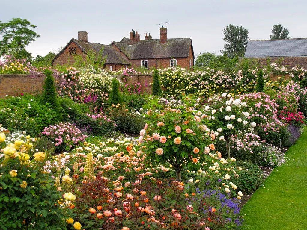 盘点惊艳世界的立体花园2022rhs切尔西花展