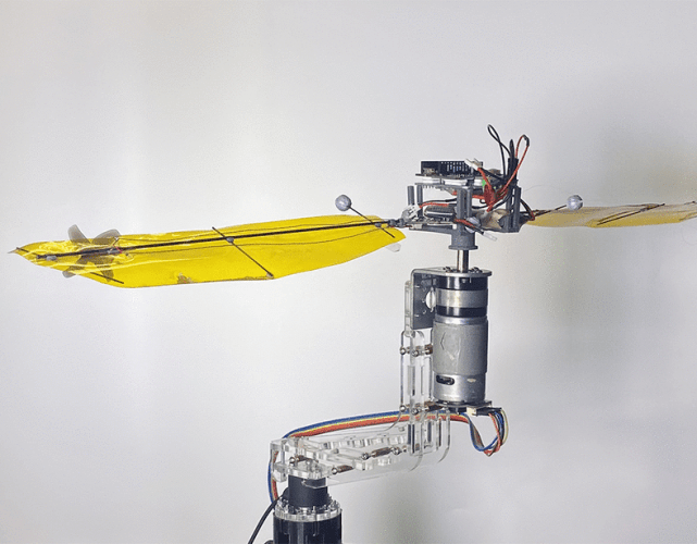 科企岛：一种姿态稳定高效悬停飞行的旋翼无人机