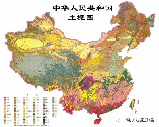 土壤到底是什么又有什么分布特点呢附中国土壤的分类及分布