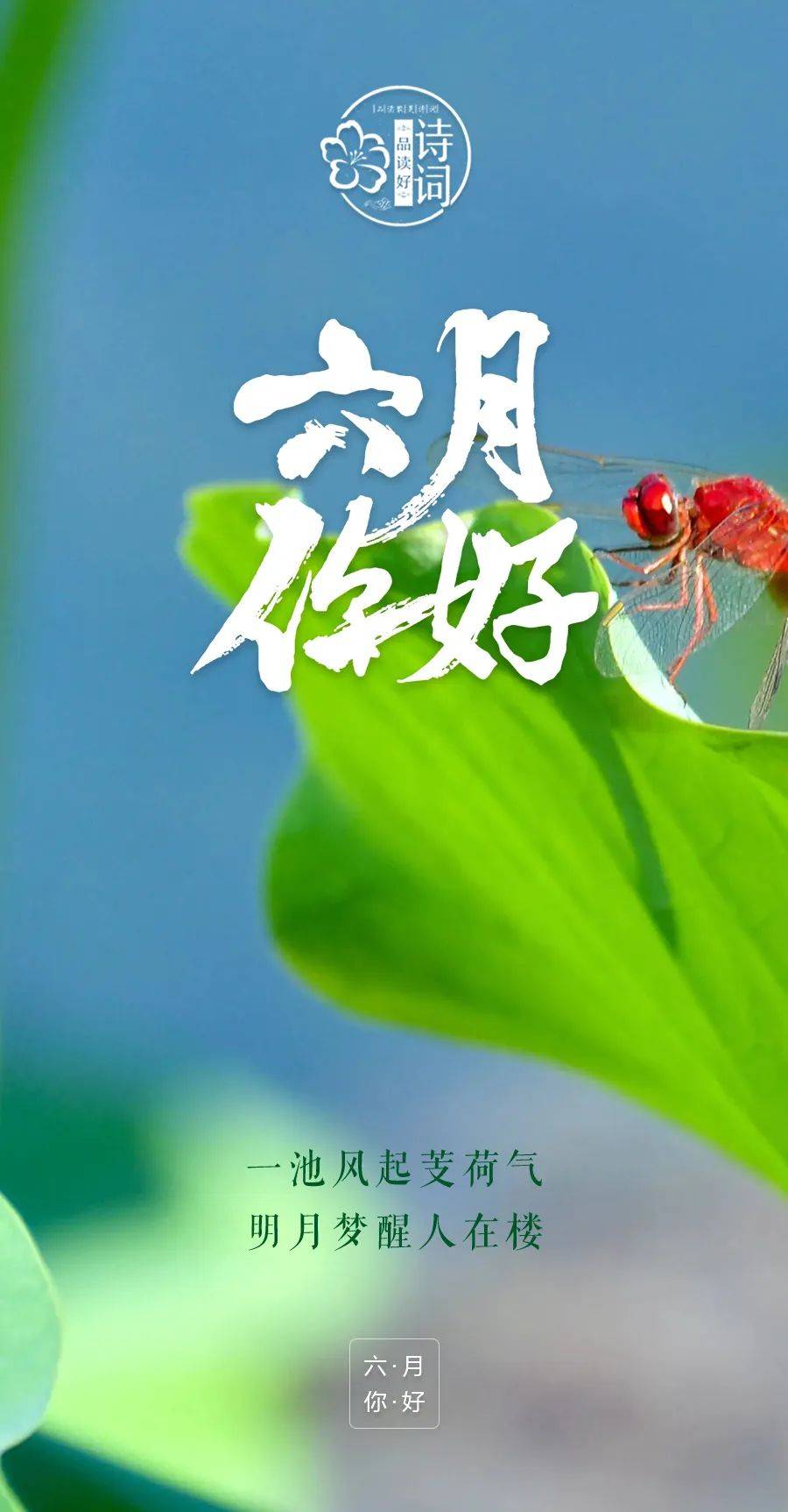 六月你好,焕发出人生的美丽,一起迎接充满活力的盛夏_岁月_野花_夏天