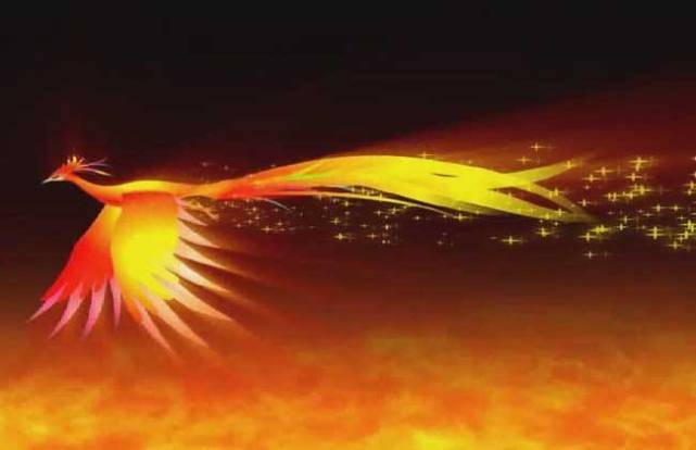 原创老人捡到一只白凤凰孙子回家一看顿时脸色大变