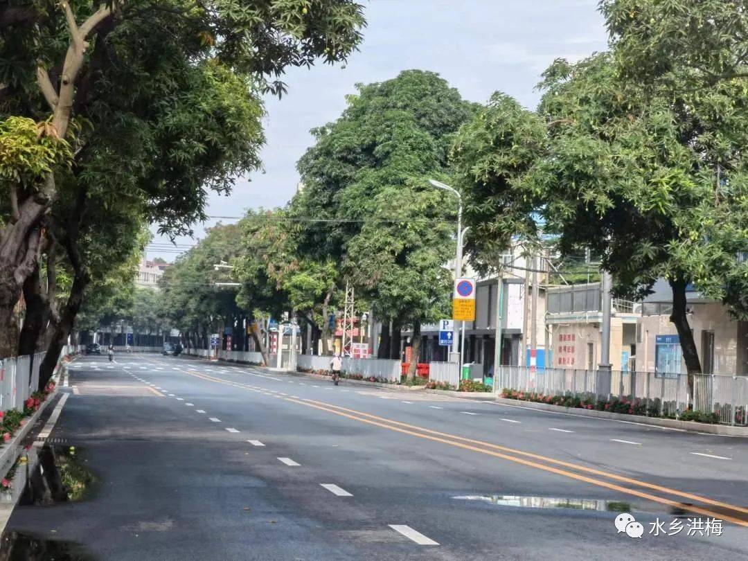 人车分流,机非分流如何助力道路品质提升?