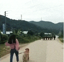 每日一笑:妹子长点心吧,裙子穿成这样后边人会尴尬的