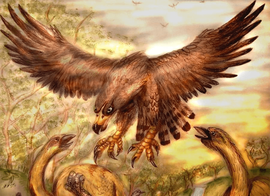 原创史前10大最危险的鸟类可捕食大象