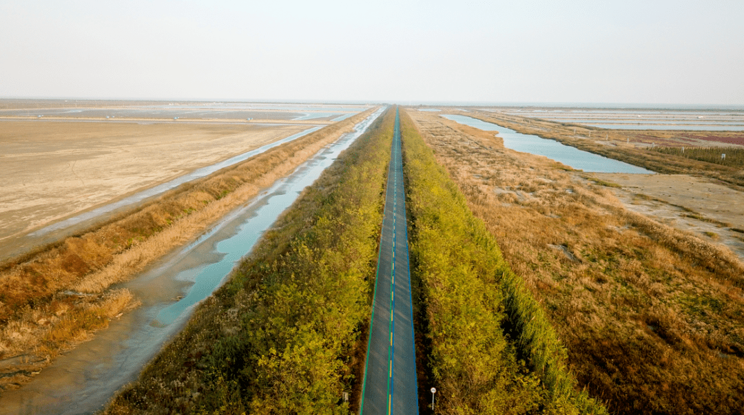 响水旅游公路1号线海堤公路开始招标_盐城市_庞国民_湿地