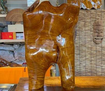 古木出山涧千年金灿灿能金光闪闪的树金丝楠