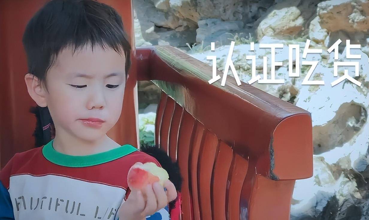 孙莉罕见晒出了儿子弟弟正脸照,弟弟与妹妹长得一模一样,都是黄磊小