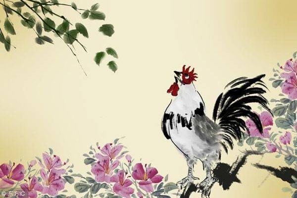 开卷有益遇良师，过目不忘有胆识打一生肖是什么动物生肖，精选解释