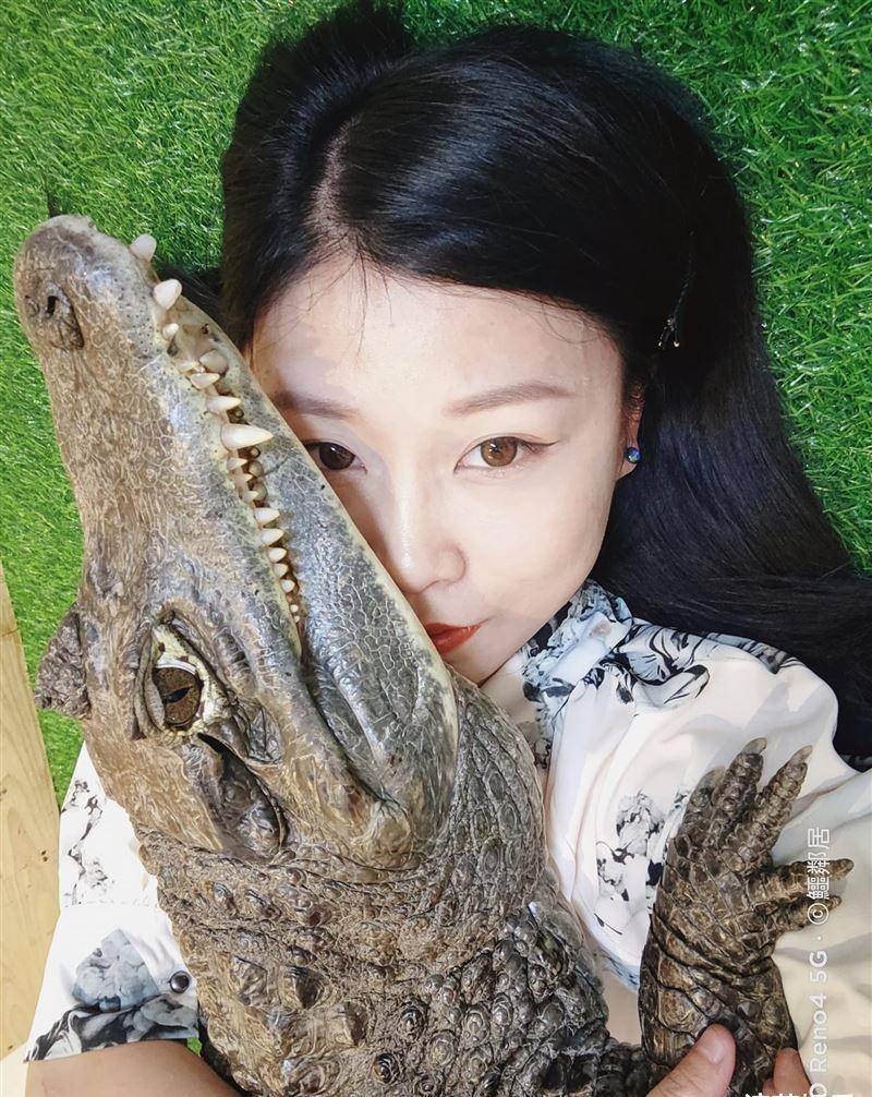 原创台湾美女养鳄鱼鳄鱼离家出走上新闻还被骂态度差她揭内幕被阴了