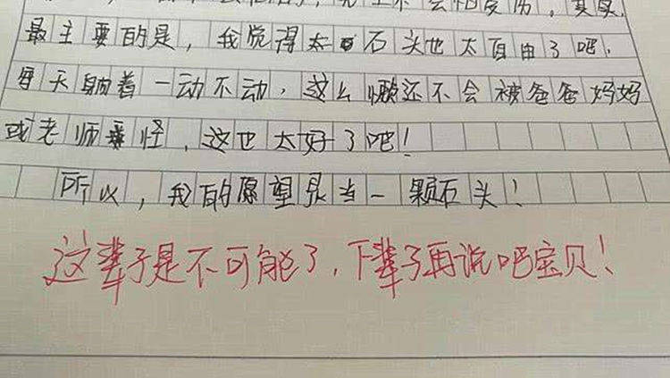 原創小學生奇葩作文讓老師尷尬寶爸欲哭無淚孩子寫錯字了