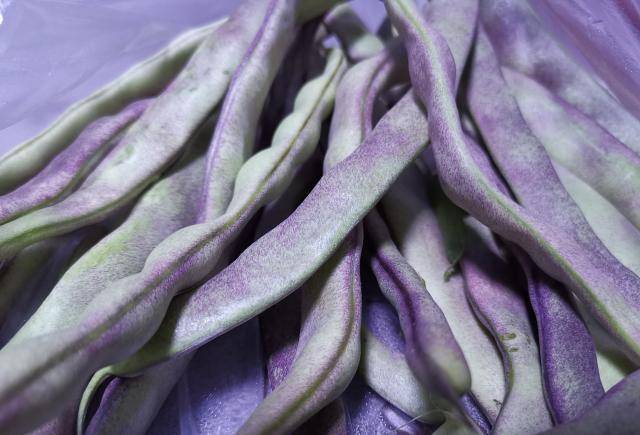 假期里的胶东农家饭:秋芸豆两吃,炒芸豆丝和芸豆卤面