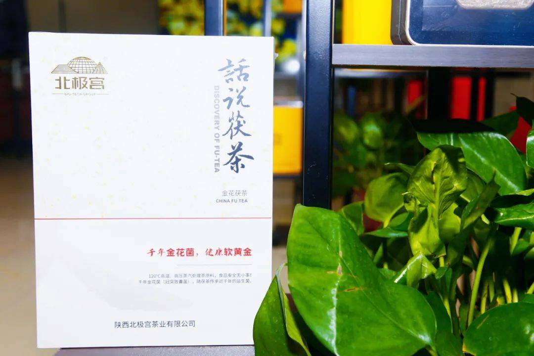 泾河新城5g5c技术让万物皆可金花北极宫开创茯茶新体验