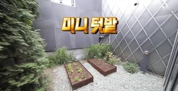 原创刘亚仁3400万豪宅曝光陈列堪比美术馆爬楼梯都能导致腰疼