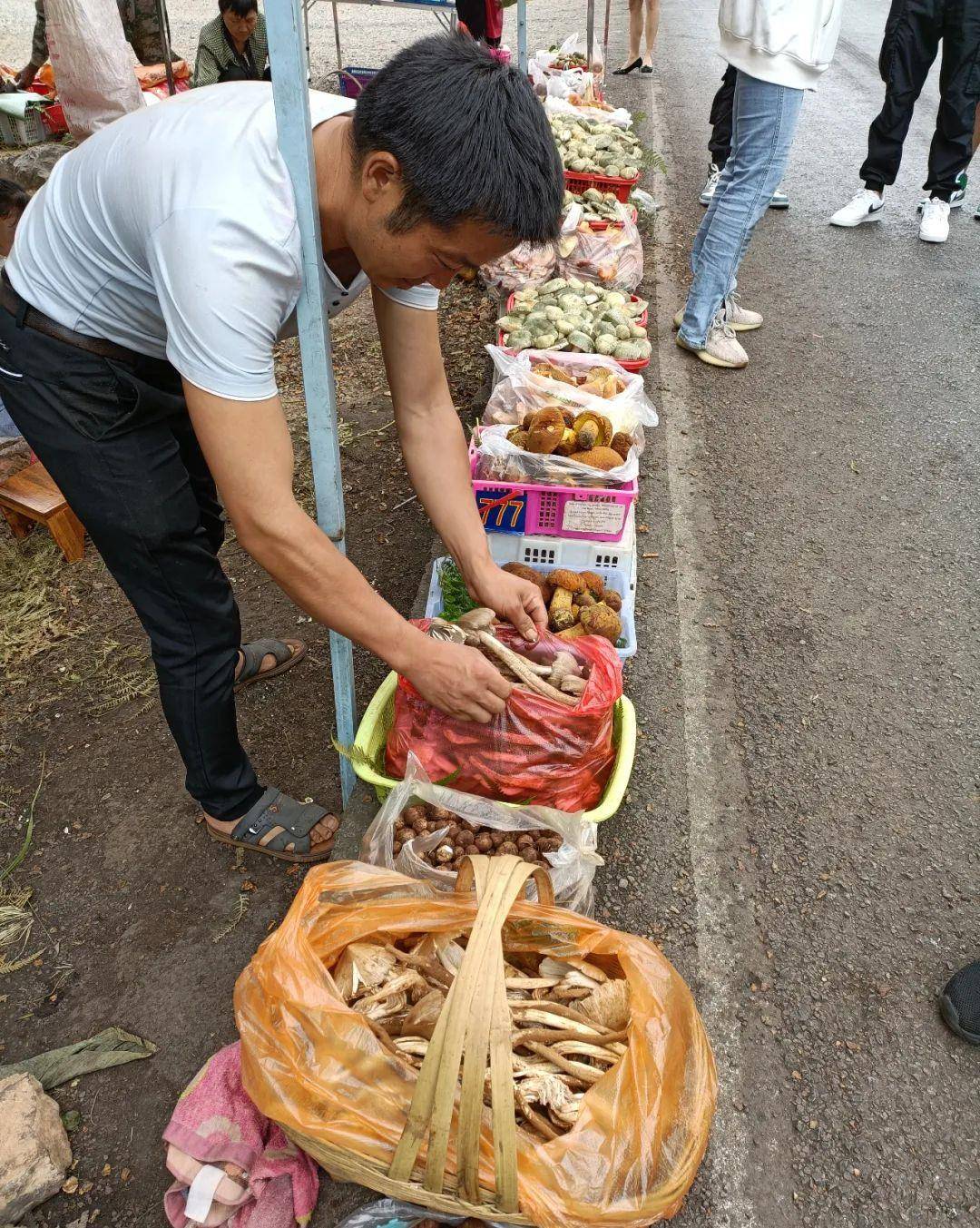 云南富源十大煤老板图片