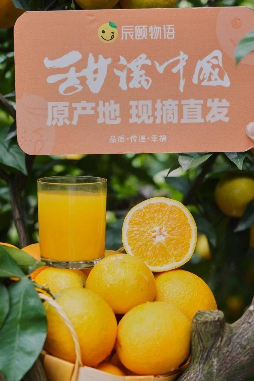 辰颐物语甜满中国湖北秭归站三峡果粒橙即将清爽来袭