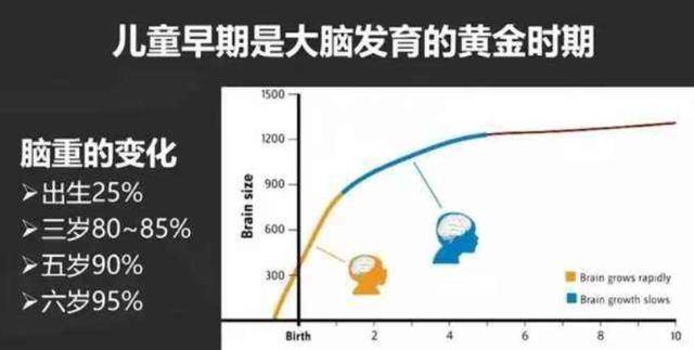 據此前哈佛研究所發現,6歲前是兒童大腦發育的黃金期.