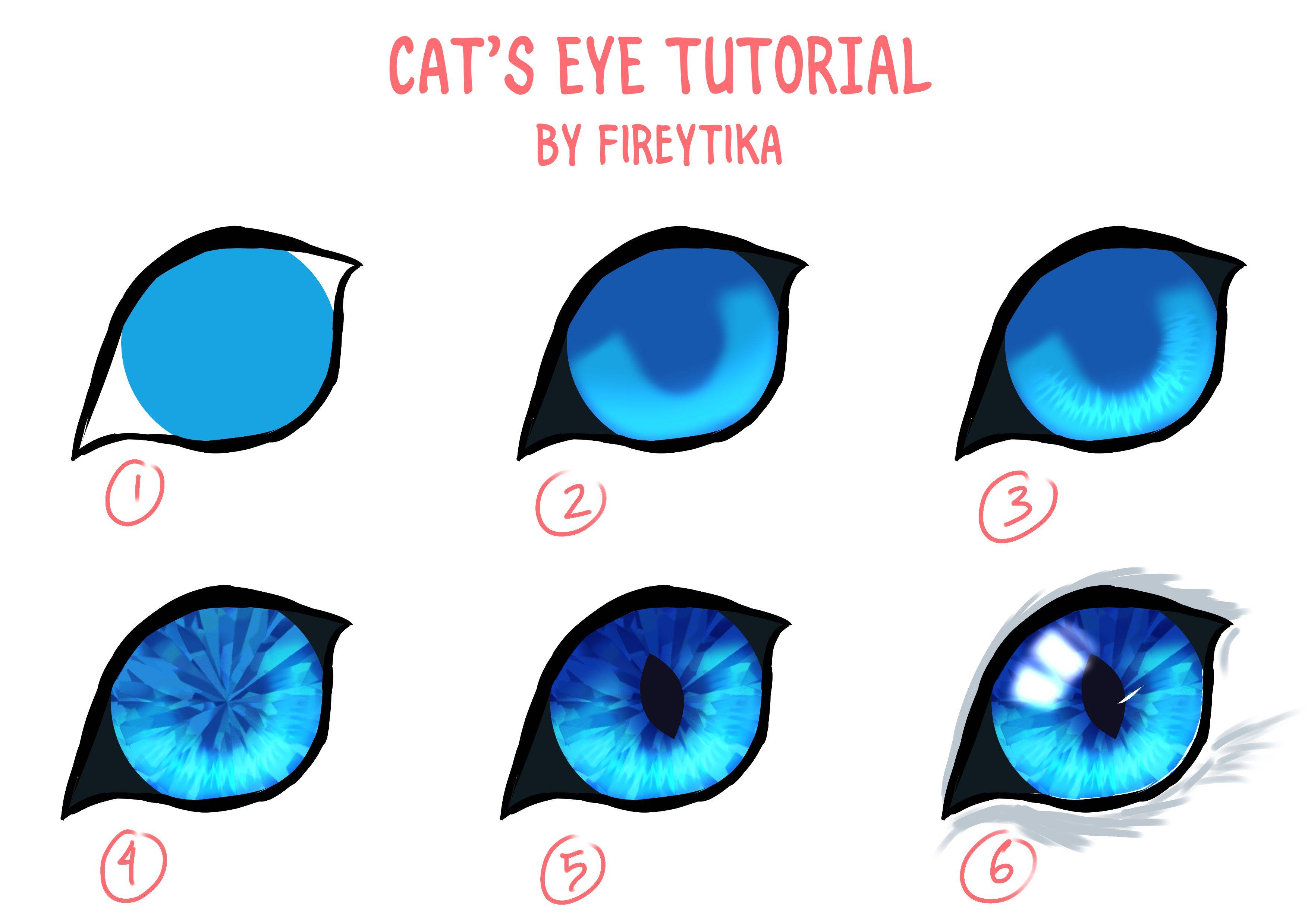 猫咪眼睛图片简单画法图片