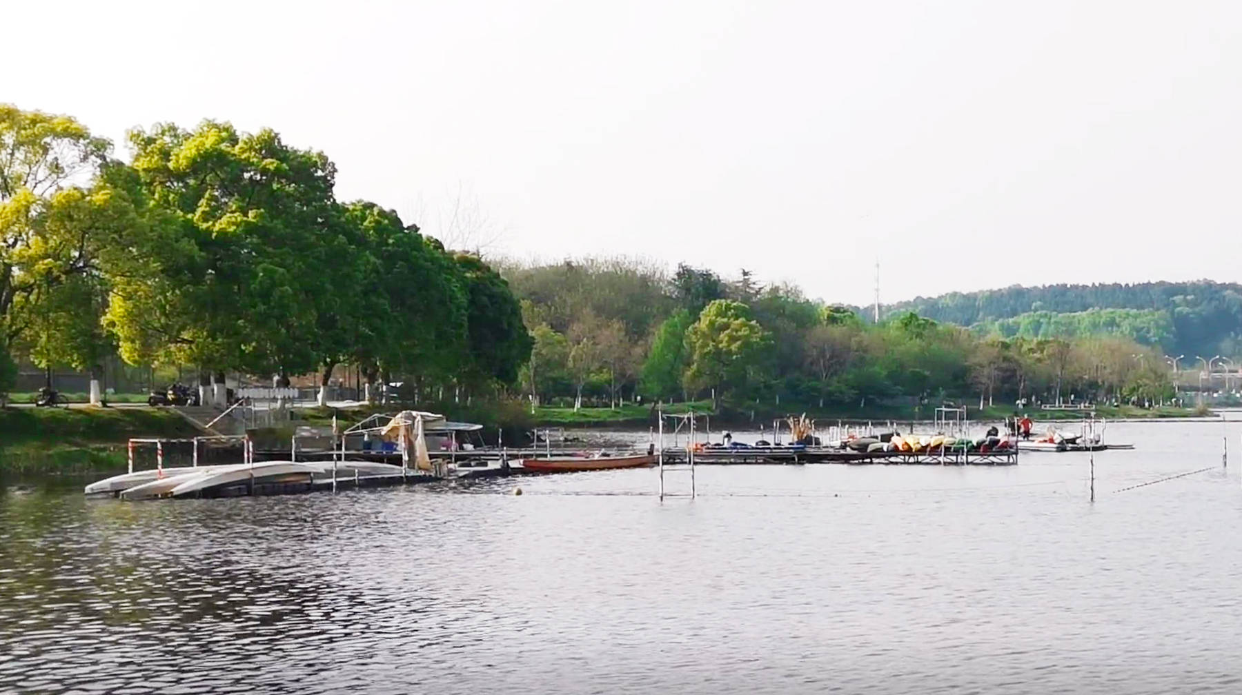 原创路过武汉城区这条滨湖绿道看龙舟队精彩表演还有一条浪漫小河