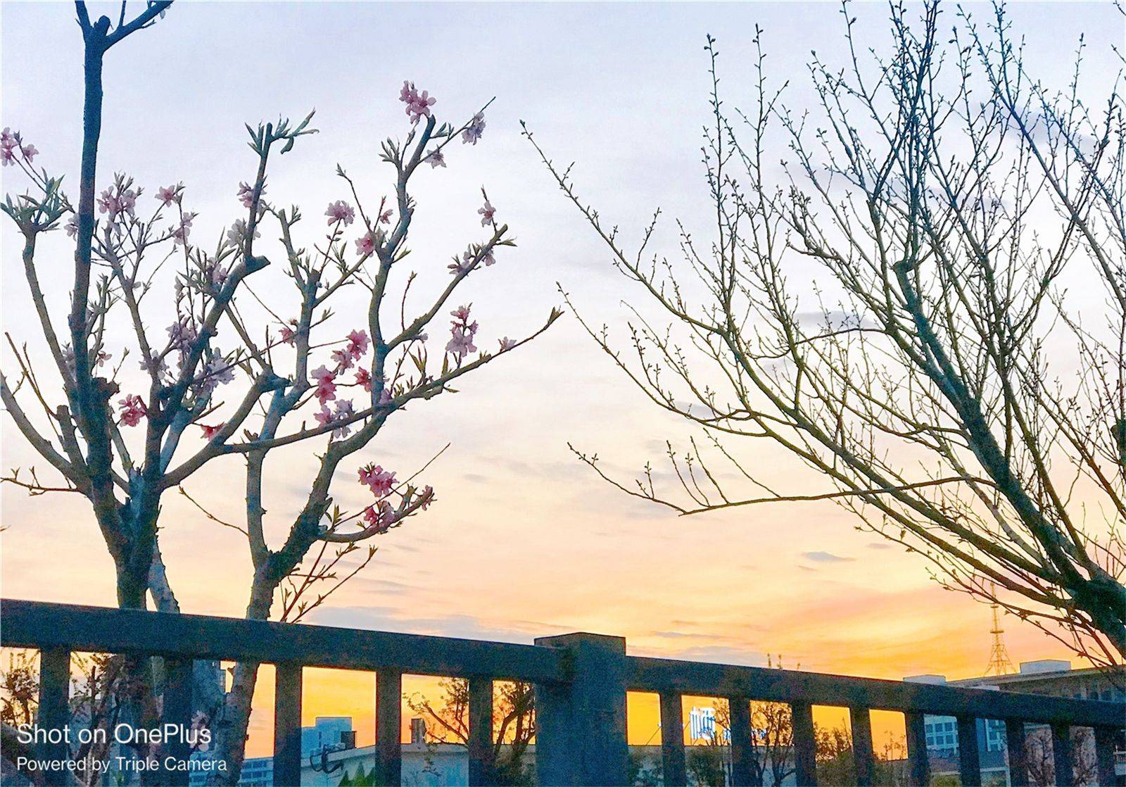 两千元真香机：一加Ace竞速版表现均衡！