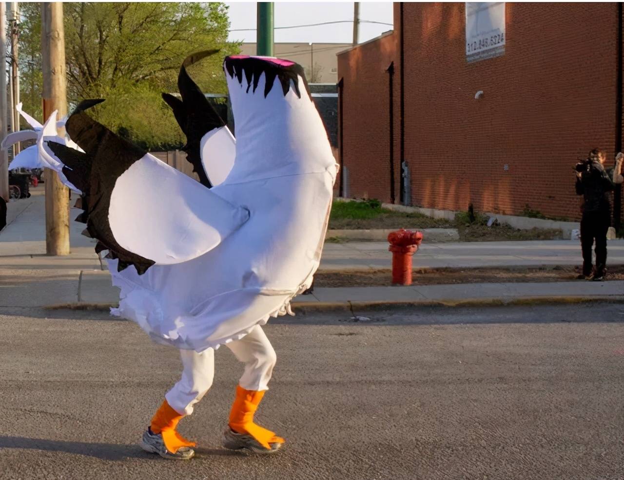 无头鸡麦克日"无头鸡麦克"意外身亡罗迪·奥臣心动了,他将麦克和该