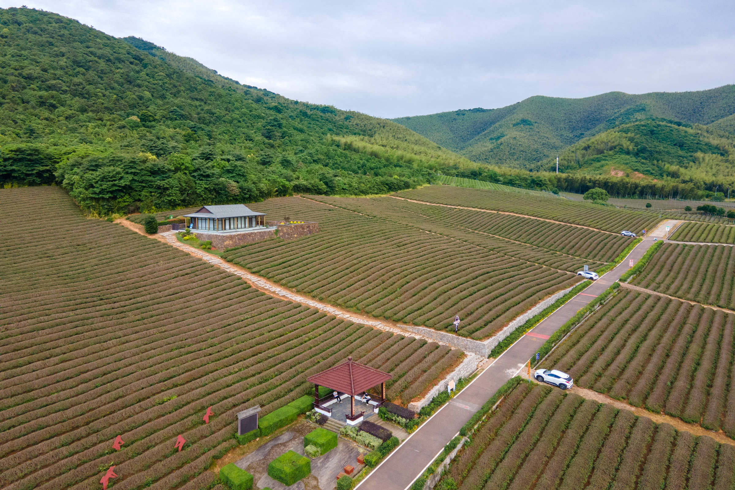 江苏首个自行车主题公园，藏在这山间茶园里，景美人少还不要门票