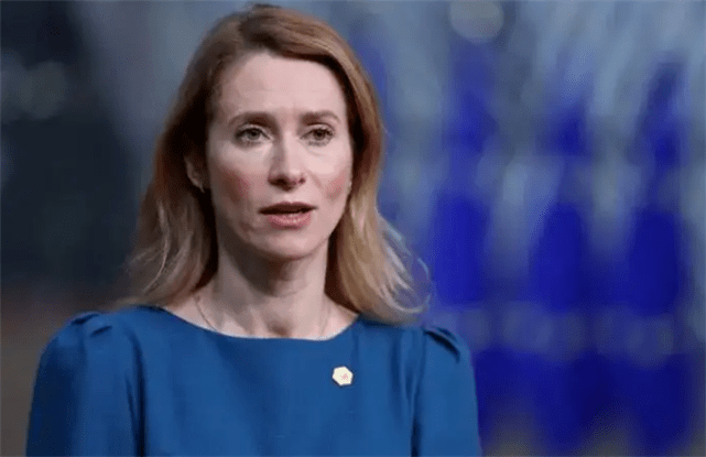 原创爱沙尼亚反对俄乌停火称不能容忍俄方建议欧盟做长期战争准备