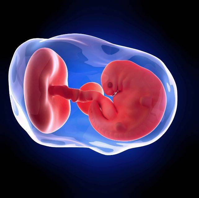 育龄女性在成功受孕后胚胎需要通过输卵管到达子宫着床发育,而育龄