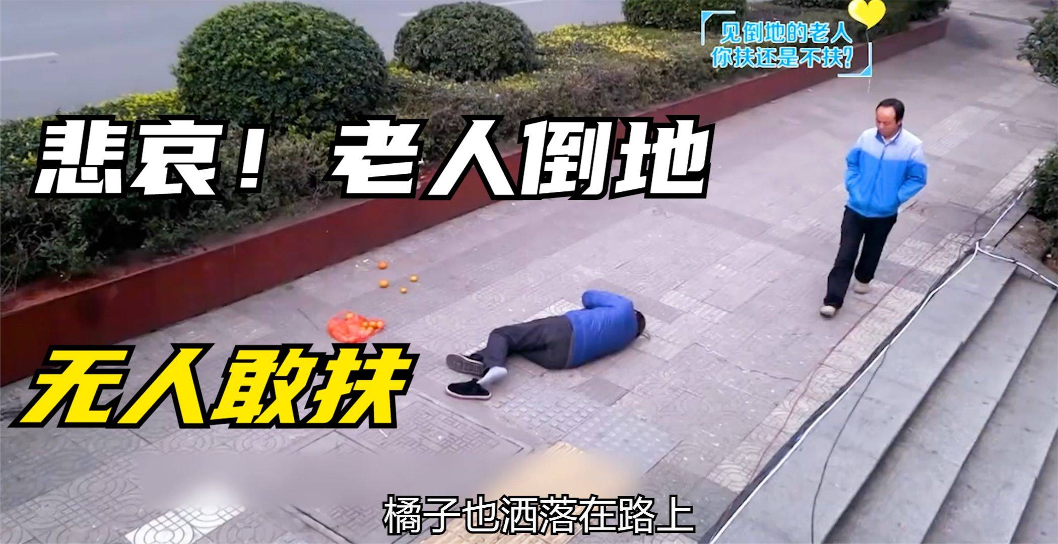 老人摔倒在大街上,无人敢扶,大学生的行为,让人落泪!